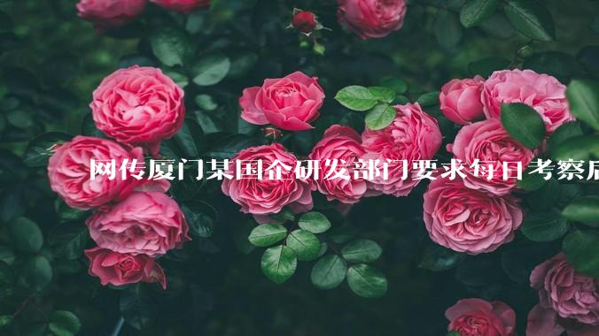网传厦门某国企研发部门要求每日考察后端 400 行，前端 1000 行代码量，如属实，这个考核合理吗？