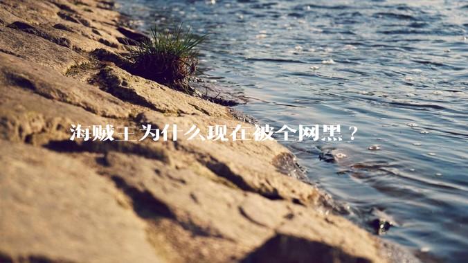 海贼王为什么现在被全网黑?