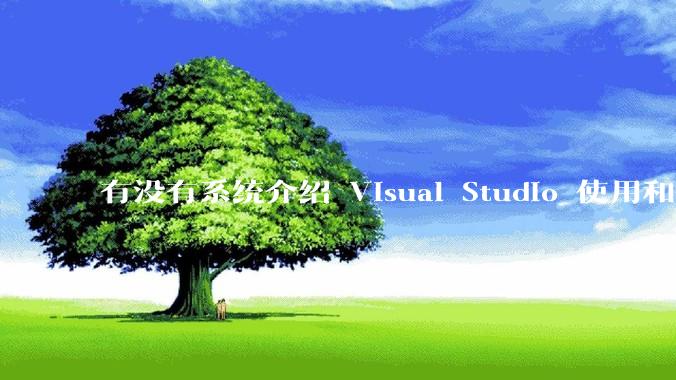 有没有系统介绍 Visual Studio 使用和技巧的书籍？