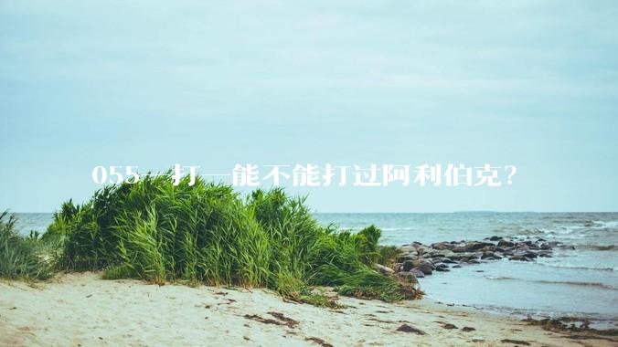055一打一能不能打过阿利伯克？