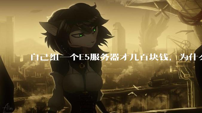 自己组一个E5服务器才几百块钱，为什么去阿里云租这么贵?