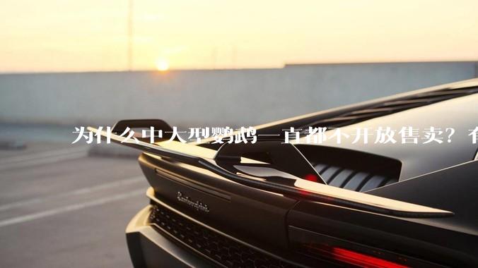 为什么中大型鹦鹉一直都不开放售卖？有哪些原因呢?